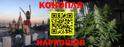 крисы Ливны