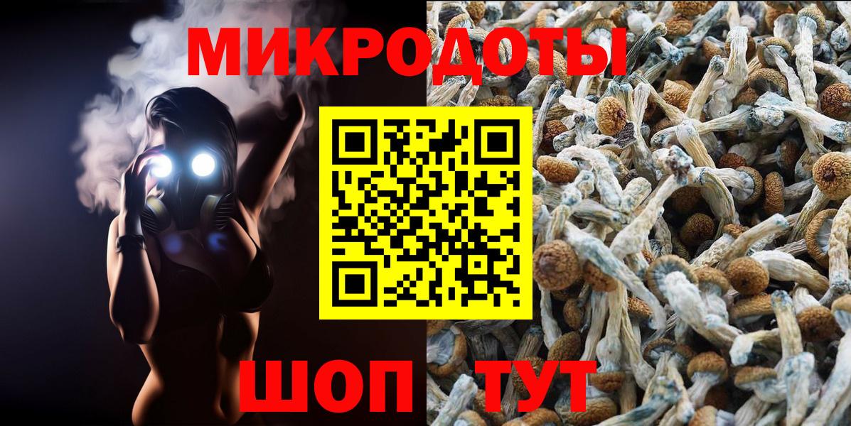 Псилоцибиновые грибы Cubensis Хабаровск